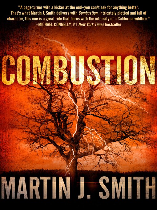 Cover image for Combustion